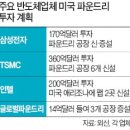 삼성개발주 이미지