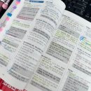 우리공인중개사 | 35회 공인중개사 시험 합격 후기