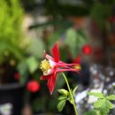 탑마트 장승포점 이미지