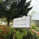 데트르펜션 | 안면도 가성비 펜션 ‘데트르펜션’ 독채5호 디럭스룸, 바베큐 후기