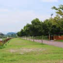 쉬리마을 농어촌 관광 휴양단지 야영장 | [강원도 철원군] 쉬리마을 농어촌 관광 휴양단지 야영장