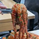 해물명가 이미지