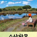 광치농장 이미지