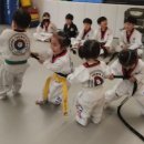 경희 태권 히어로즈 이미지