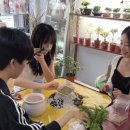 정부지원사업 1인 여성 송파맘 성수맘 소자본 주부창업 &#34;오리지널플랜츠 식물가게창업 성공 전략&#34; 안전...