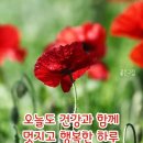 엄지공주 - 강릉시 경강로 2113 | 엄지공주