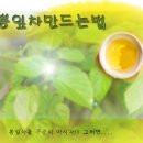 뽕잎차만드는법 이미지