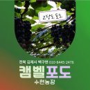 수현농장 이미지