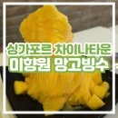미향원 | 싱가포르 미향원 망고빙수 망고롤 내돈내산 솔직 후기 / 차이나타운 메뉴 가격 카드결제 정보