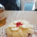 쁠레나 이미지