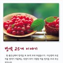 앵두 - 가평군 조종희망로 41 | 앵두