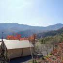 살구나무글램핑&펜션 이미지