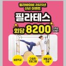 필라바이비