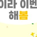 드림디포 이미지