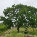 우곡면사무소 이미지