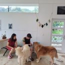 허그안리트릿 이미지