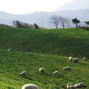 즐거운목장 이미지