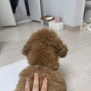 도촌동 | 내돈내산 후기 - 경기도 성남 도촌동 가성비 맛집 “도촌어시장”