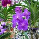 송정섭농장 이미지