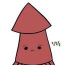 오징어PC방 이미지