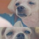 한일축산 이미지