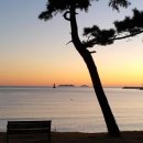 베이테라스 이미지