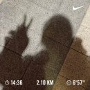 [3월2주차] 공주의 규칙