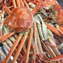 어린이날 기념 여행 (포항 - 화진해수욕장 - 안동)