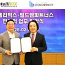 엠 파트너스