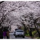 춘향이와 이도령 - 영천시 | 춘향이와 이도령