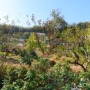 동곡농업협동조합마트 이미지