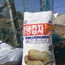 풍농비료 이미지