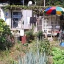 박곡농장 이미지