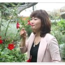 극동영상 이미지