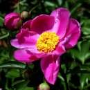 신덕마을 이미지