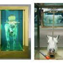 허스트(Hirst) 이미지