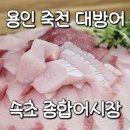 죽전어시장 | 죽전 방어회 속초종합어시장 : 대방어 횟집 추천