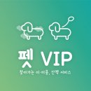 펫매니져