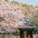 한국종합