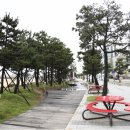 항구동 이미지