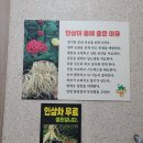 증평인삼곰갈비탕 이미지