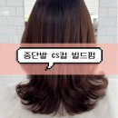 오즈디자인랩 | [강남 미용실] 오즈 서초교대점 | 중단발 빌드펌 헤어컨설팅