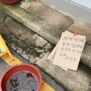메꿀레분식