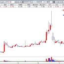 에스와이트레이딩 이미지