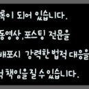 전라도막횟집 이미지