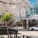 와우산 스튜디오 이미지