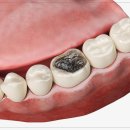 본이좋은치과의원 이미지
