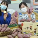 황토유통 이미지