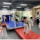 찬빛태권도 이미지