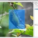 [Linux] WSL Ubuntu에 LabelImg 설치 방법 (시행착오, 에러 해결 후기)